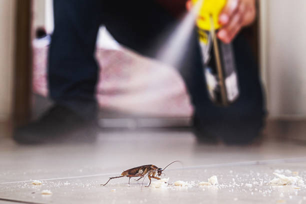 Best Best Pest Control Companies  in Exeter, PA